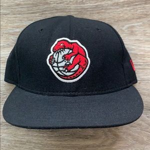 Throwback Raptors Fitted Cap